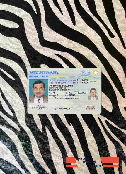 USA Michigan DL photolook FRONT PSD template